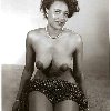 Vintage Ebony Stockings