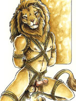 gay furry photomorphs