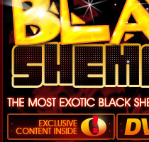 Black Shemales