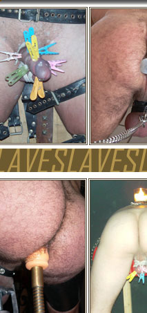 michigan bdsm groups