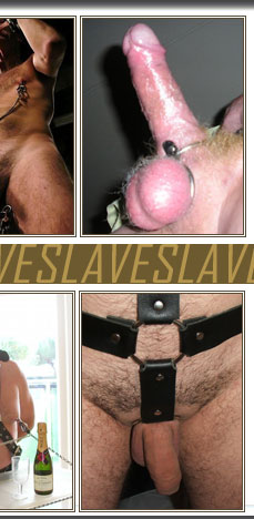 bdsm test