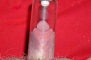 Pumped Clitoris