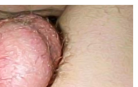 Gay Double Penetration